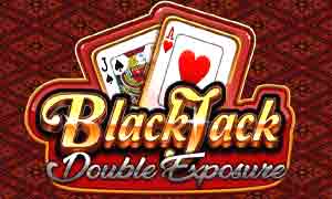 Double Exposure Blackjack