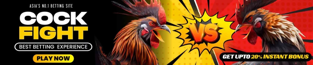 Cock Fight Game